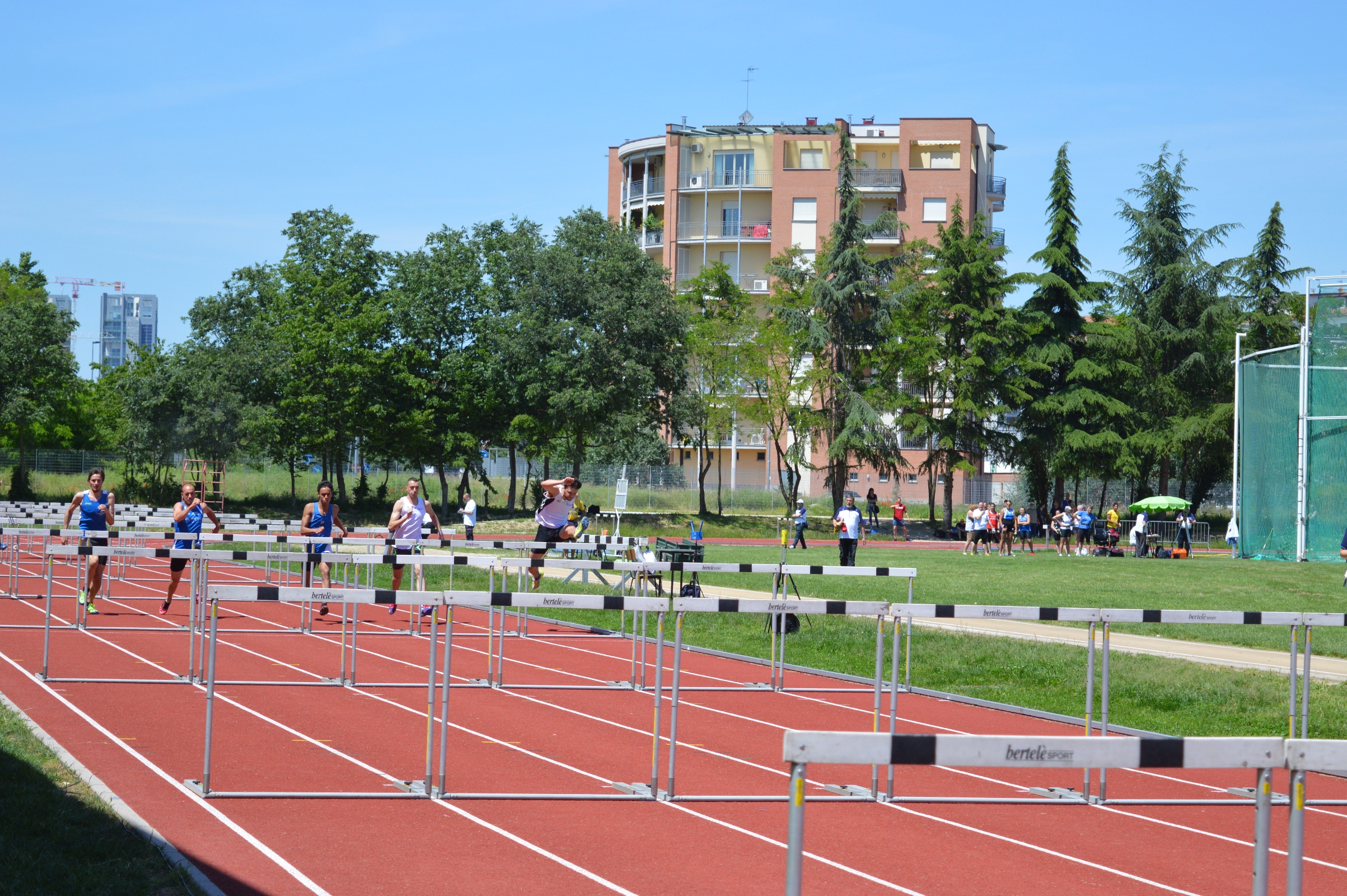 DSC_0484.JPG