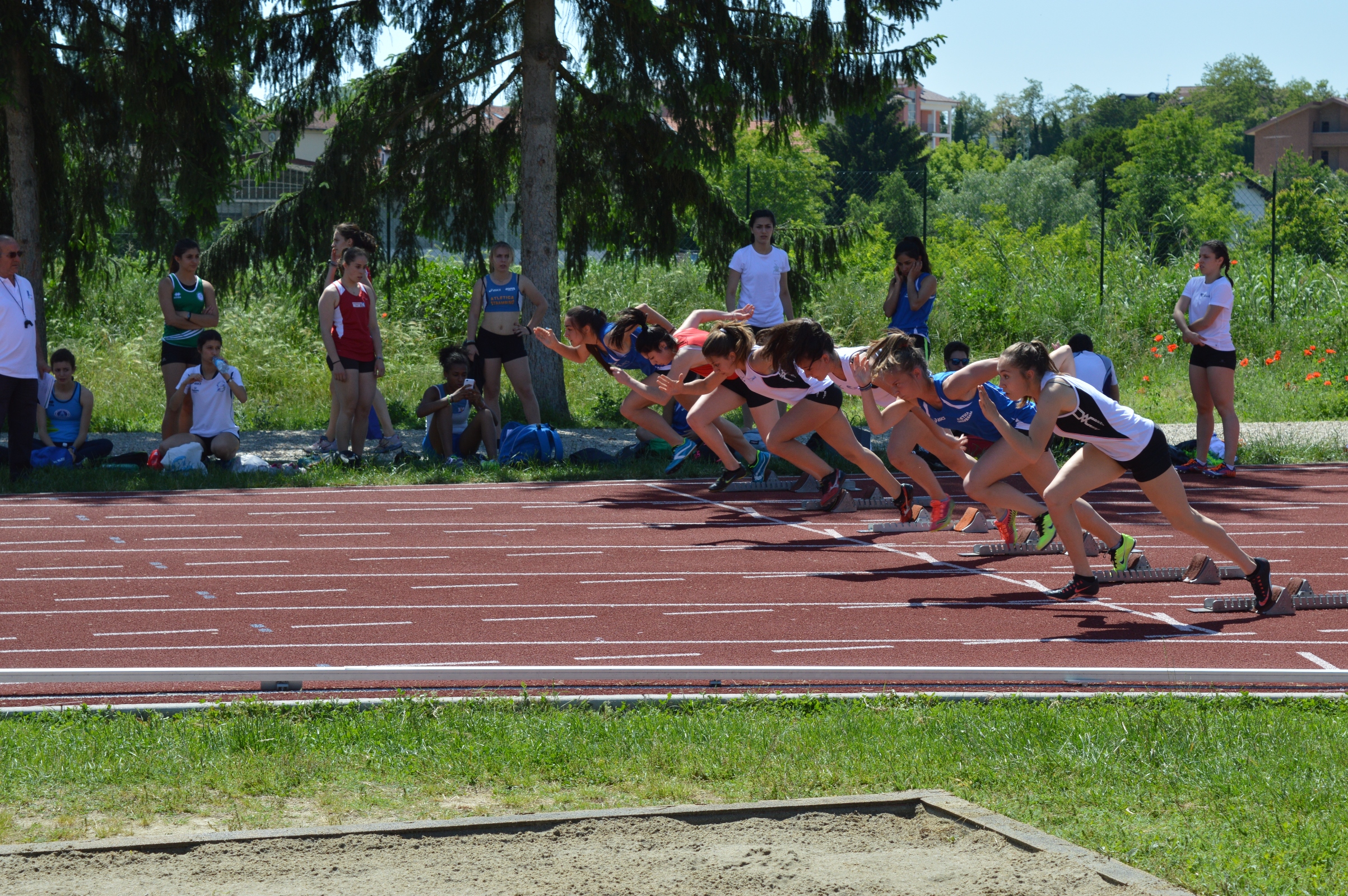 DSC_0520.JPG
