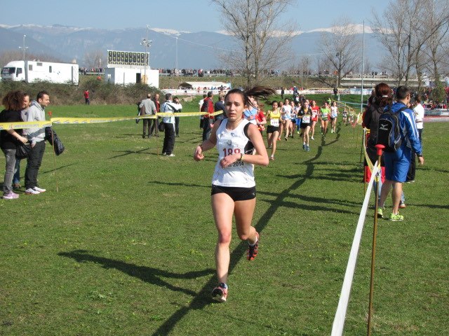 carbone.jpg carbone.jpg